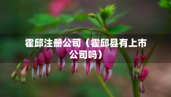 霍邱注冊(cè)公司（霍邱縣有上市公司嗎）