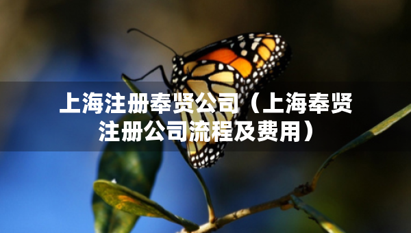 上海注冊(cè)奉賢公司（上海奉賢注冊(cè)公司流程及費(fèi)用）