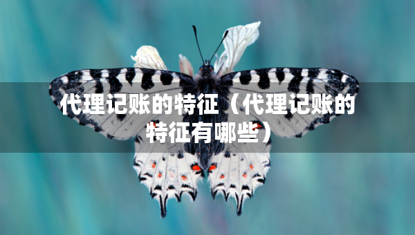 代理記賬的特征（代理記賬的特征有哪些）