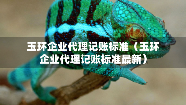 玉環(huán)企業(yè)代理記賬標(biāo)準(zhǔn)（玉環(huán)企業(yè)代理記賬標(biāo)準(zhǔn)最新）