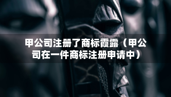 甲公司注冊(cè)了商標(biāo)霞露（甲公司在一件商標(biāo)注冊(cè)申請(qǐng)中）