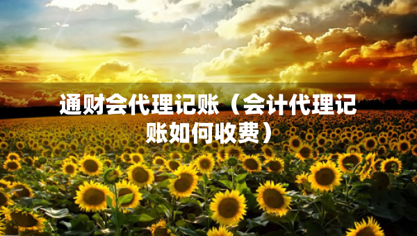 通財(cái)會(huì)代理記賬（會(huì)計(jì)代理記賬如何收費(fèi)）