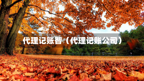 代理記賬智（代理記賬公司）