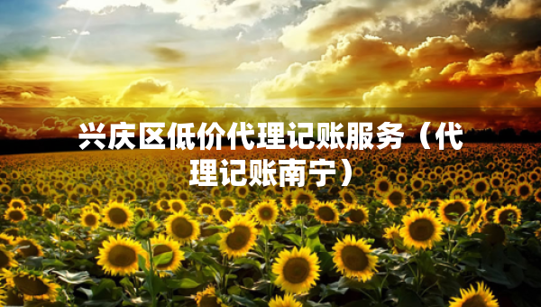興慶區(qū)低價(jià)代理記賬服務(wù)（代理記賬南寧）