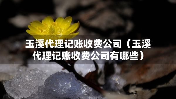 玉溪代理記賬收費(fèi)公司（玉溪代理記賬收費(fèi)公司有哪些）