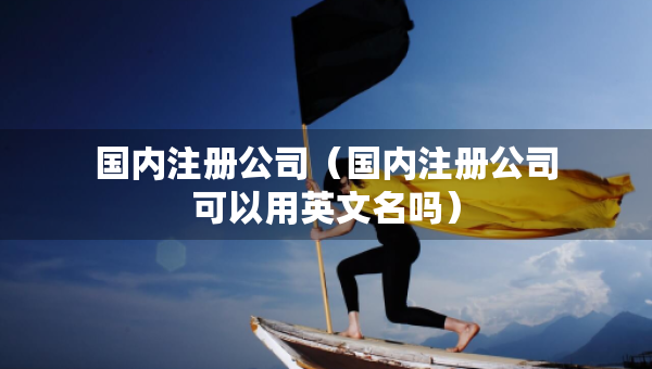 國內(nèi)注冊(cè)公司（國內(nèi)注冊(cè)公司可以用英文名嗎）
