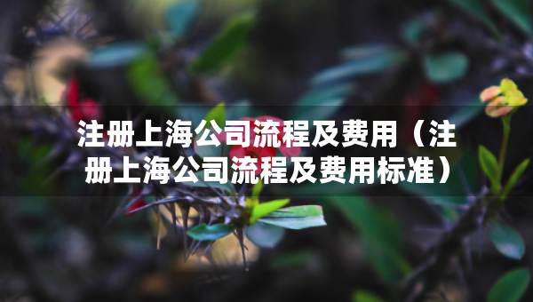 注冊上海公司流程及費用（注冊上海公司流程及費用標(biāo)準(zhǔn)）