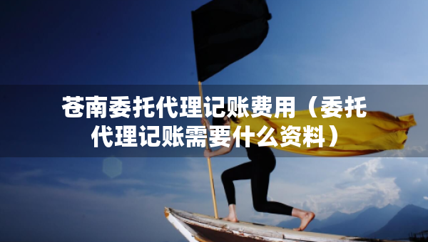 蒼南委托代理記賬費(fèi)用（委托代理記賬需要什么資料）