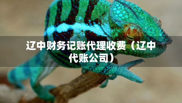 遼中財務記賬代理收費（遼中代賬公司）
