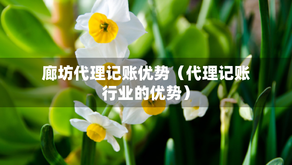 廊坊代理記賬優(yōu)勢（代理記賬行業(yè)的優(yōu)勢）