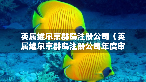 英屬維爾京群島注冊(cè)公司（英屬維爾京群島注冊(cè)公司年度審計(jì)）