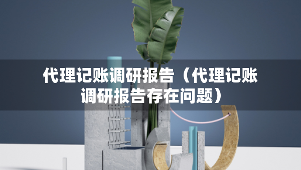 代理記賬調(diào)研報告（代理記賬調(diào)研報告存在問題）