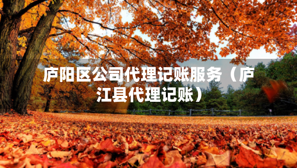 廬陽(yáng)區(qū)公司代理記賬服務(wù)（廬江縣代理記賬）