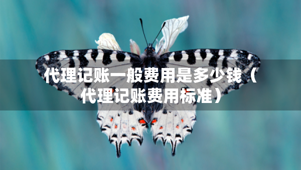 代理記賬一般費(fèi)用是多少錢（代理記賬費(fèi)用標(biāo)準(zhǔn)）