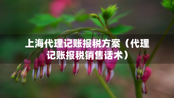 上海代理記賬報稅方案（代理記賬報稅銷售話術(shù)）