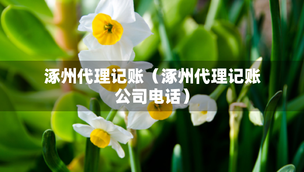 涿州代理記賬（涿州代理記賬公司電話）