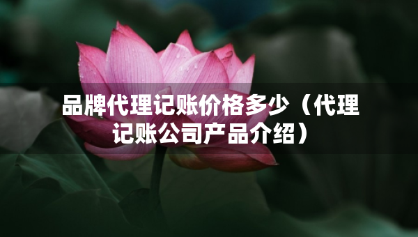 品牌代理記賬價格多少（代理記賬公司產(chǎn)品介紹）
