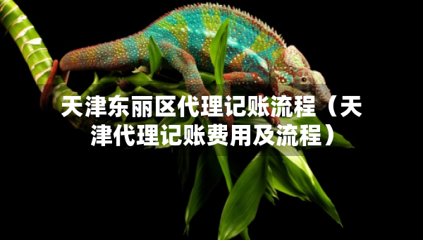 天津東麗區(qū)代理記賬流程（天津代理記賬費(fèi)用及流程）