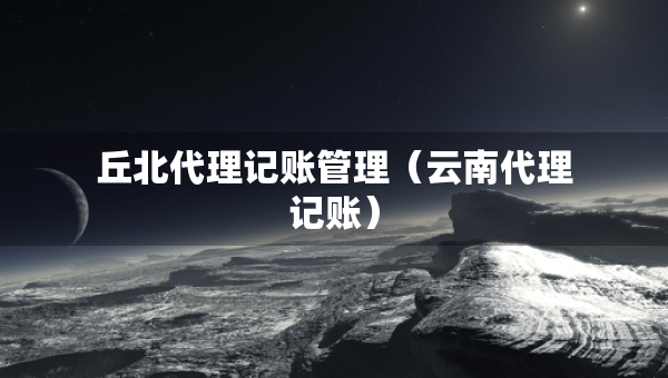 丘北代理記賬管理（云南代理記賬）