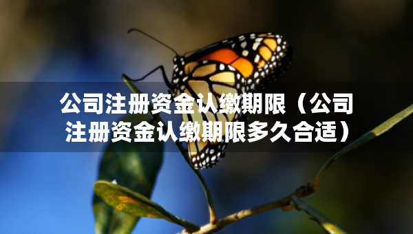 公司注冊資金認繳期限（公司注冊資金認繳期限多久合適）
