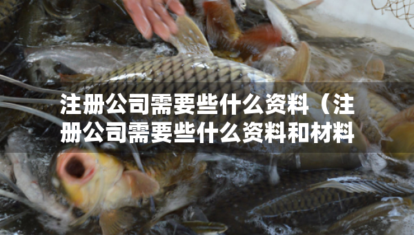 注冊(cè)公司需要些什么資料（注冊(cè)公司需要些什么資料和材料）