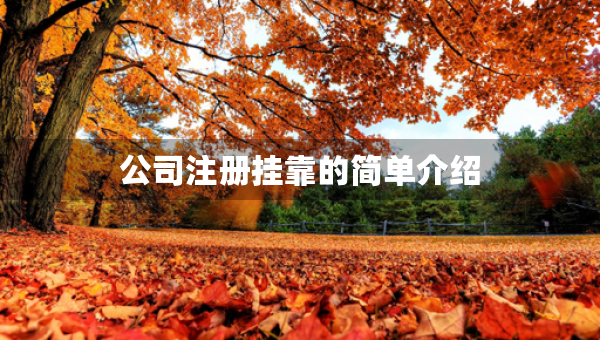 公司注冊掛靠的簡單介紹