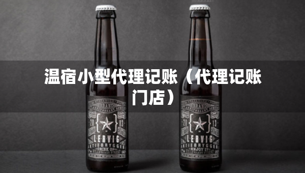 溫宿小型代理記賬（代理記賬門店）