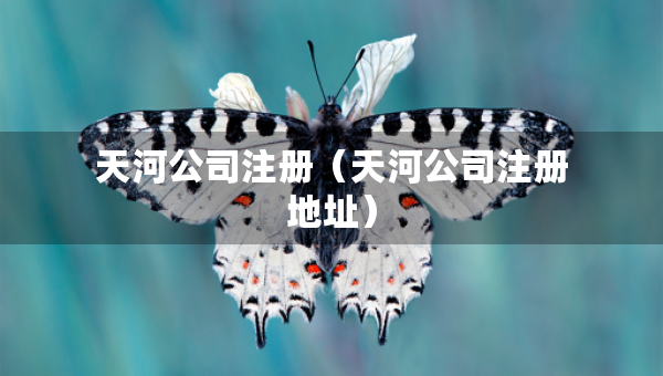 天河公司注冊(cè)（天河公司注冊(cè)地址）