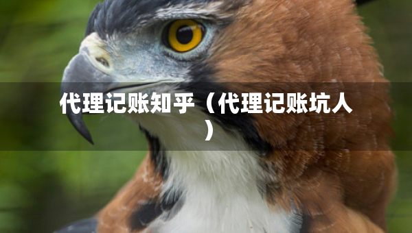 代理記賬知乎（代理記賬坑人）