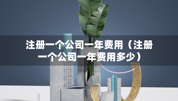 注冊(cè)一個(gè)公司一年費(fèi)用（注冊(cè)一個(gè)公司一年費(fèi)用多少）