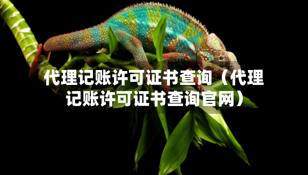 代理記賬許可證書查詢（代理記賬許可證書查詢官網(wǎng)）