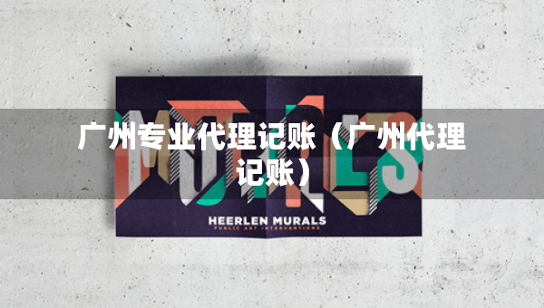 廣州專業(yè)代理記賬（廣州代理記賬）