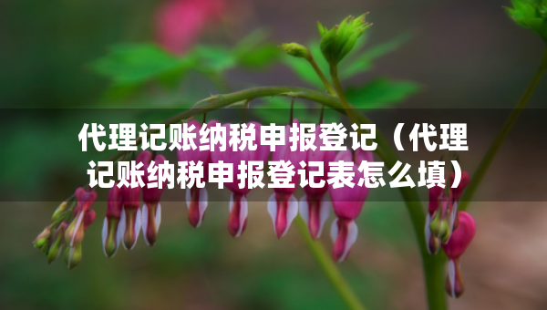 代理記賬納稅申報(bào)登記（代理記賬納稅申報(bào)登記表怎么填）