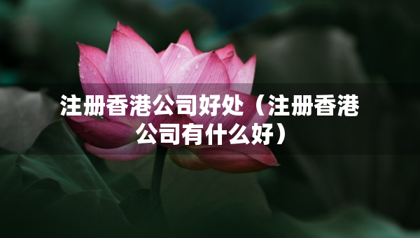 注冊(cè)香港公司好處（注冊(cè)香港公司有什么好）