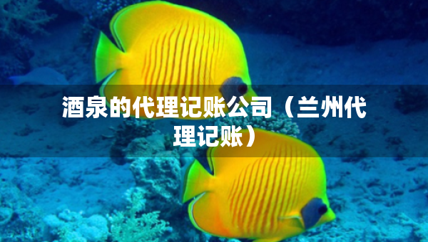 酒泉的代理記賬公司（蘭州代理記賬）