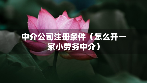 中介公司注冊條件（怎么開一家小勞務(wù)中介）