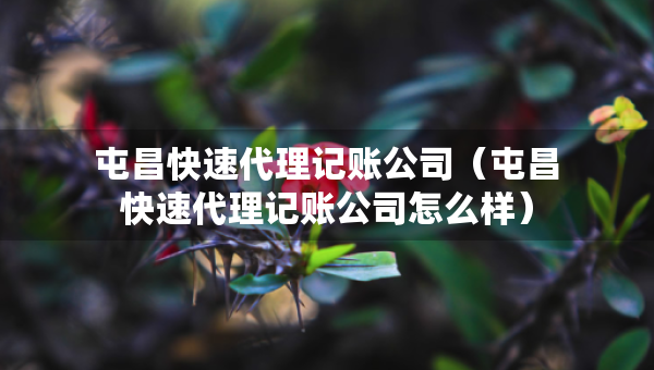 屯昌快速代理記賬公司（屯昌快速代理記賬公司怎么樣）