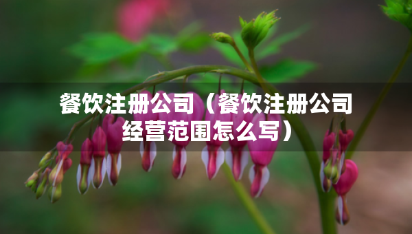 餐飲注冊公司（餐飲注冊公司經(jīng)營范圍怎么寫）