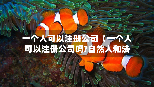 一個(gè)人可以注冊(cè)公司（一個(gè)人可以注冊(cè)公司嗎?自然人和法人有什么區(qū)別）