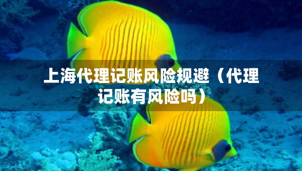 上海代理記賬風(fēng)險(xiǎn)規(guī)避（代理記賬有風(fēng)險(xiǎn)嗎）