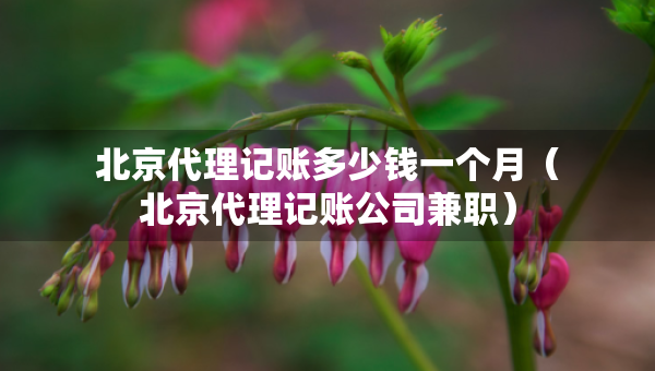 北京代理記賬多少錢一個(gè)月（北京代理記賬公司兼職）