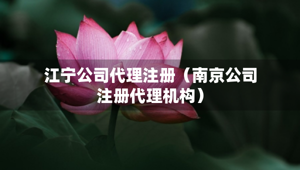 江寧公司代理注冊（南京公司注冊代理機(jī)構(gòu)）