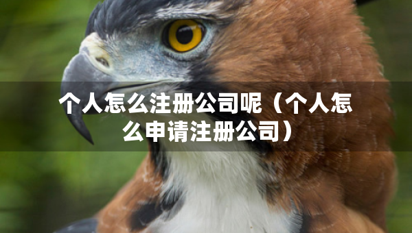 個(gè)人怎么注冊(cè)公司呢（個(gè)人怎么申請(qǐng)注冊(cè)公司）