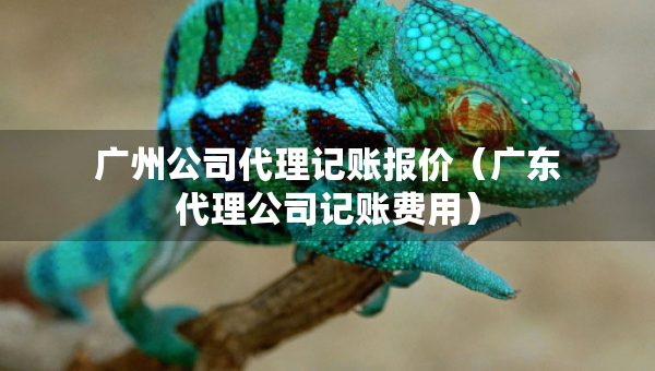 廣州公司代理記賬報(bào)價(jià)（廣東代理公司記賬費(fèi)用）