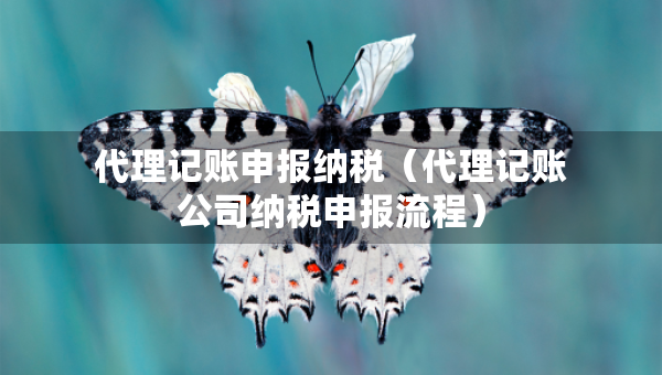 代理記賬申報(bào)納稅（代理記賬公司納稅申報(bào)流程）