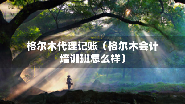 格爾木代理記賬（格爾木會(huì)計(jì)培訓(xùn)班怎么樣）