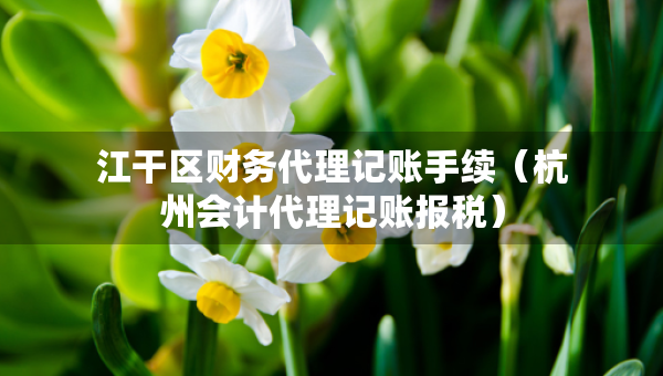 江干區(qū)財(cái)務(wù)代理記賬手續(xù)（杭州會計(jì)代理記賬報(bào)稅）