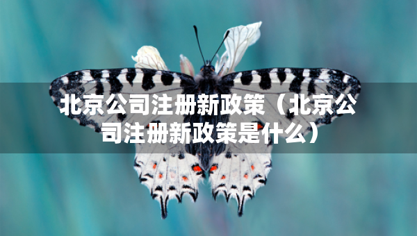 北京公司注冊新政策（北京公司注冊新政策是什么）