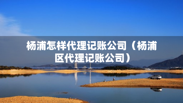 楊浦怎樣代理記賬公司（楊浦區(qū)代理記賬公司）