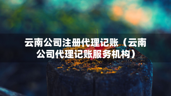 云南公司注冊(cè)代理記賬（云南公司代理記賬服務(wù)機(jī)構(gòu)）